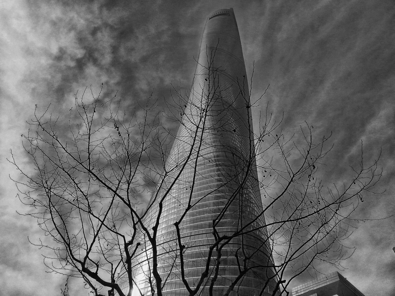 The world screams. The concrete marks the violence with which it was struck like a wall. The concrete screams. The grass groans under the teeth of the animal. And man ? What shall we say about man ? M.H. Shanghai, People's Republic of China, 2016, Translated from french: L'univers crie. Le béton marque la violence avec laquelle il a été frappe comme un mur. Le béton crie. L'herbe gémit sous les dents de l'animal. Et l'homme ? Que diront nous de l'homme ? M.H.